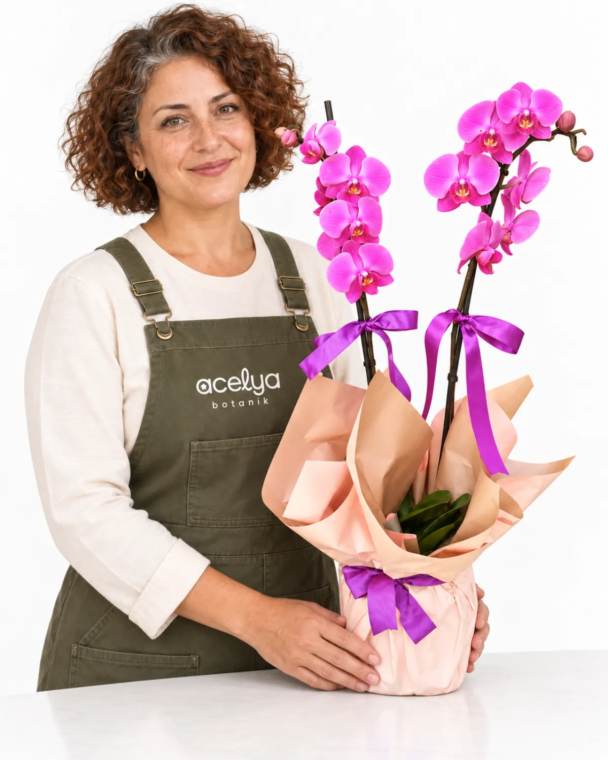 Saksıda Çift Dal Phalaneopsis Pembe Orkide 1